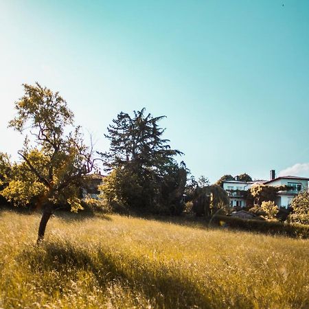 Bed & Breakfast Unter Den Linden Hungen Екстер'єр фото