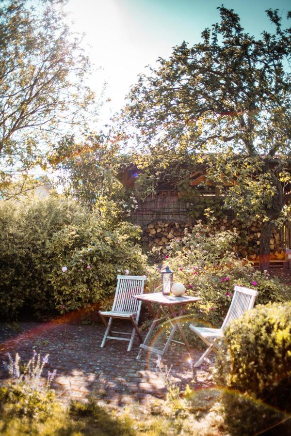 Bed & Breakfast Unter Den Linden Hungen Екстер'єр фото