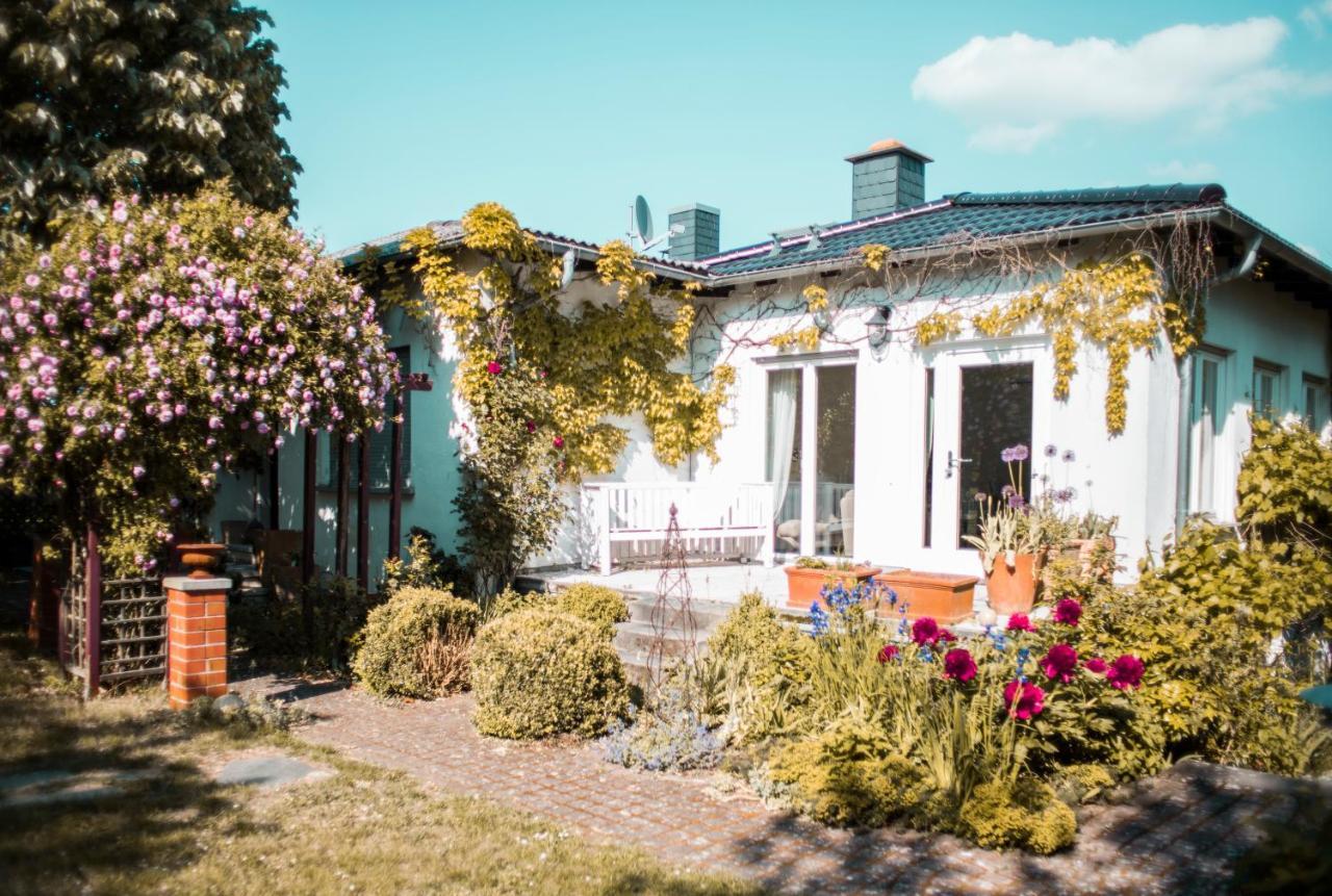 Bed & Breakfast Unter Den Linden Hungen Екстер'єр фото