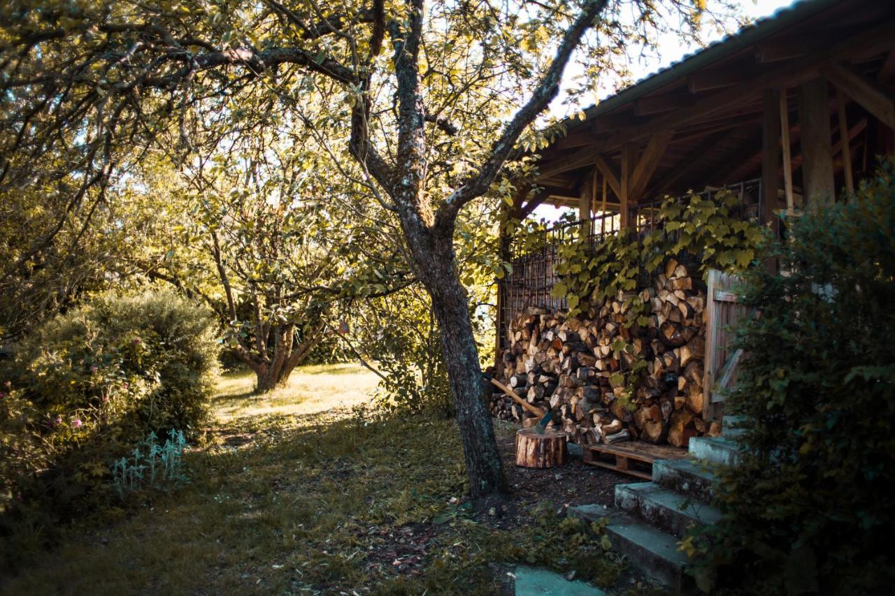 Bed & Breakfast Unter Den Linden Hungen Екстер'єр фото