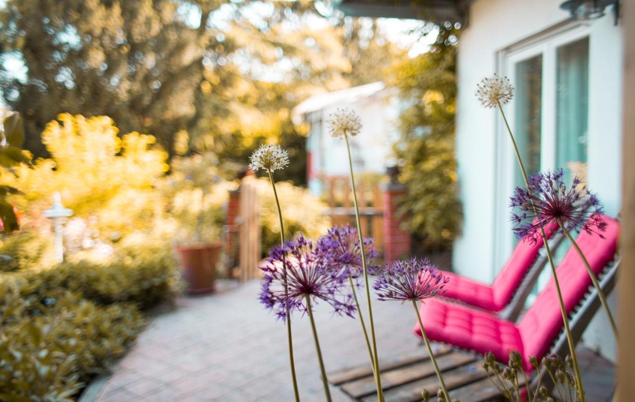 Bed & Breakfast Unter Den Linden Hungen Екстер'єр фото